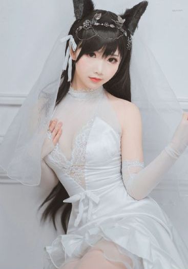 铿铿铿锵锵锵锵免费观看